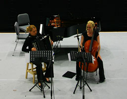 duo accordion and cello